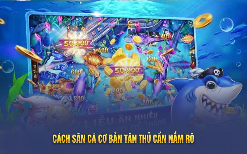 Cách săn cá cơ bản tân thủ cần nắm rõ