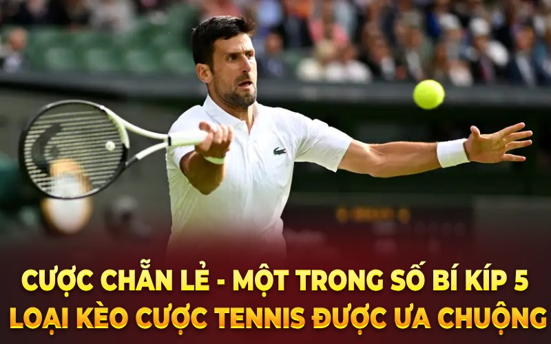 Cược chẵn lẻ - Một trong số bí kíp 5 loại kèo cược tennis được ưa chuộng